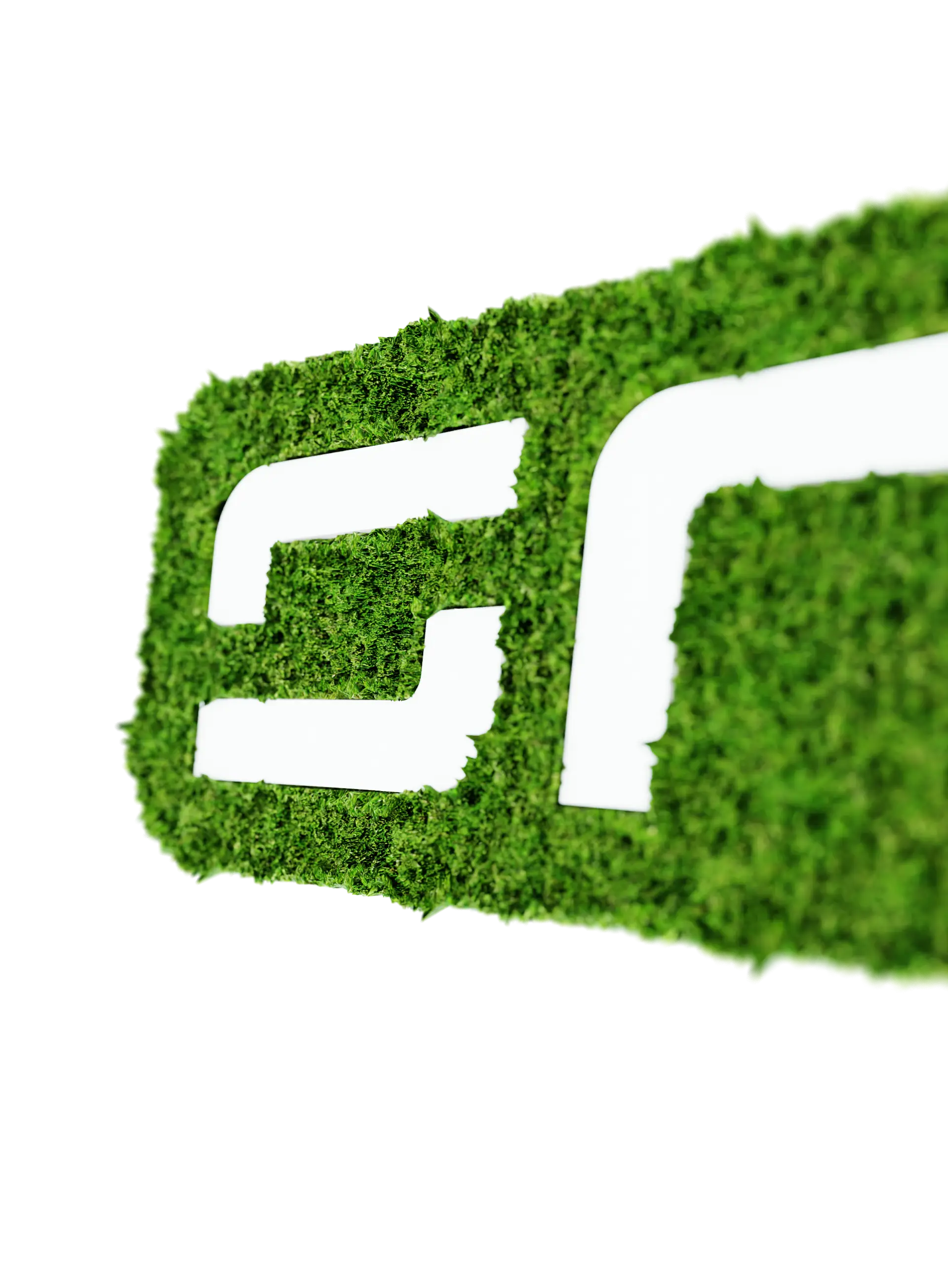 Sustainability in Draftex as core activity